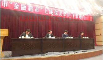 大众金融服务业（大众金融机构）