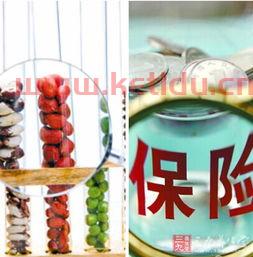 金融服务算是服务业吗吗（金融属于服务业）