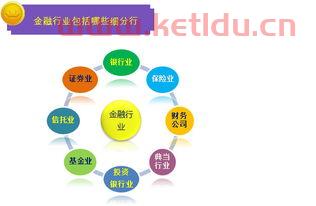 金融服务业营改增外文文献（金融服务增值税政策解析）
