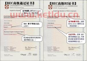 金融学专业都可以考什么证（金融专业能考什么证书）