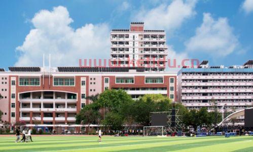 学金融的好大学有哪些（学金融的好大学有哪些学校）