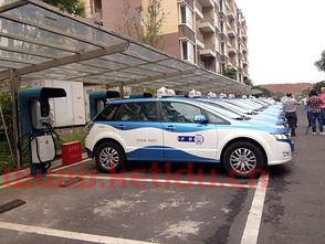 泸州租电动汽车价格表图（泸州有租电动车的地方吗）