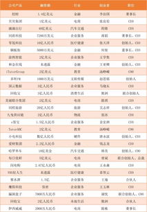 阿里的创业金融是什么意思（阿里 创业）