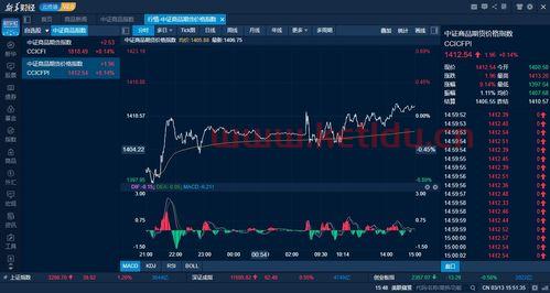 期货商品价格指数的重要性（商品期货指数有参考价值吗）