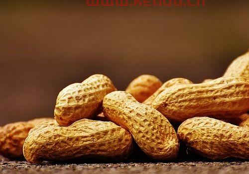 花生期货行情分析消息（花生期货价格最新消息）