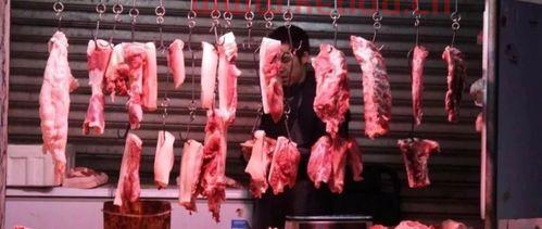 生猪期货以前的价格（生猪期货市场价格变化）