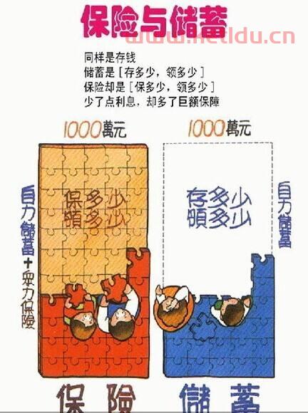 储蓄的意思