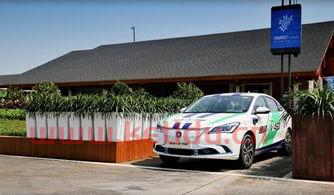 蓝海电动汽车价格表(蓝海新能源有限公司)