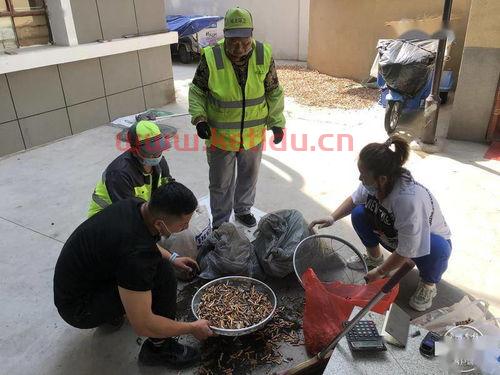 废品回收烟头价格表大全(回收废旧烟头)