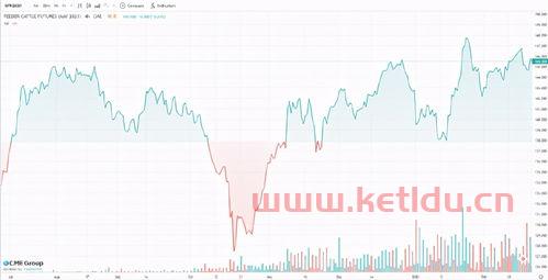 期货牛肉市场行情分析论文(牛肉期货价格哪个交易所)