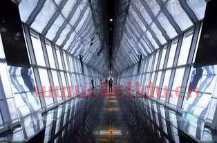 上海环球金融中心蹦极(上海环球金融中心100层观光)