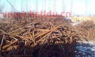 杭州废铁废品回收价格表(杭州废铁回收价多少钱一斤)