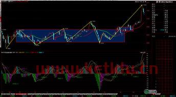 上海商品期货价格走势图(上海商品期货官网)