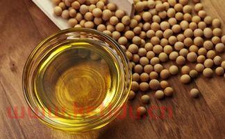 马来西亚豆油期货交易时间(马来西亚棕榈油期货行情)