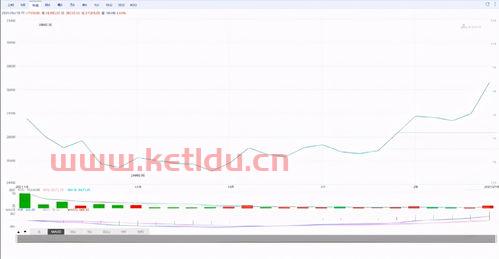 九月份的猪的价格期货价格(九月份生猪期货)