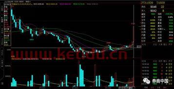 期货怎么买合理的价格图片(期货怎么买才能赚到钱)