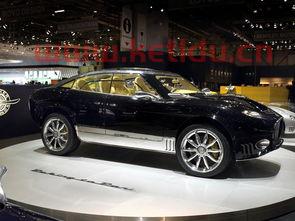 世爵电动汽车价格表（世爵新能源）