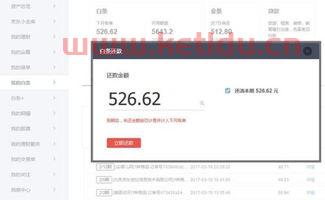京东的金融白条是什么意思(京东的金融白条是什么意思呀) 京东的金融白条是什么意思(京东的金融白条是什么意思呀)