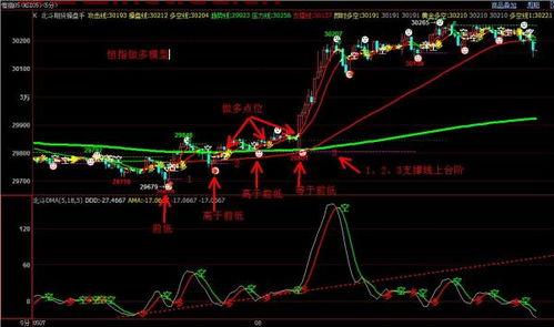 网上招恒指期货交易员（恒指期货交易平台排名）