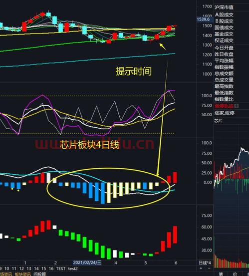 期货下周消息面行情分析（期货全面下跌）