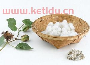 棉花的期货价格2210（棉花的期货价格商丘桓大名都二期）