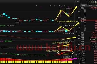 金贵银业股票行情
