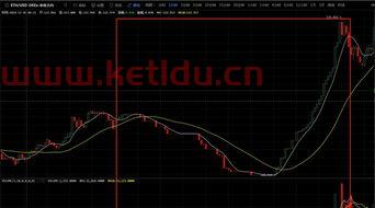 期货交易多长时间爆仓有效(期货多长时间交易一次)