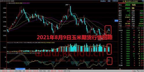 玉米9月份期货价格走势(2021年9月份玉米价格最新行情走势分析)