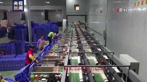 金融服务业农村(金融服务业农村发展现状)