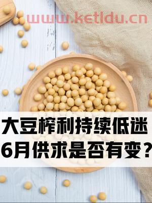 招聘豆粕期货交易员(豆粕期货交易所)