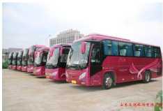 威海租电动汽车价格表大全(威海可以租电车么)