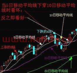 600295股票