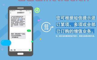 移动手机业务查询