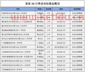 养老基金排名前十名