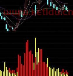 股票的主力资金指什么〖股票主力资金是什么意思〗