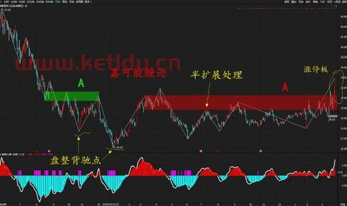 天药股份的龙头股票是哪个,相关的医药制造龙头股票有哪些?
