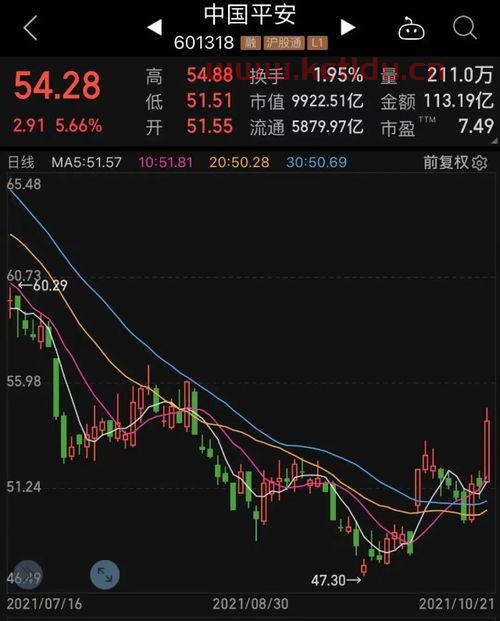 主力资金大幅卖出股票说明什么〖主力抛售说明什么〗