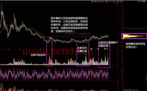 净值最大的股票〖股票最大回撤是什么意思 〗
