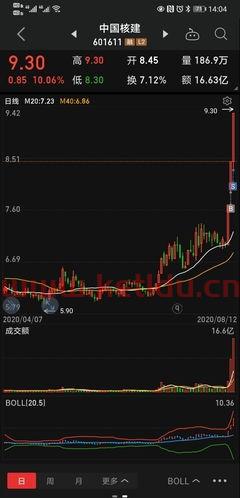 国内光伏基建股票龙头一览,基建股票的十大龙头股代码?