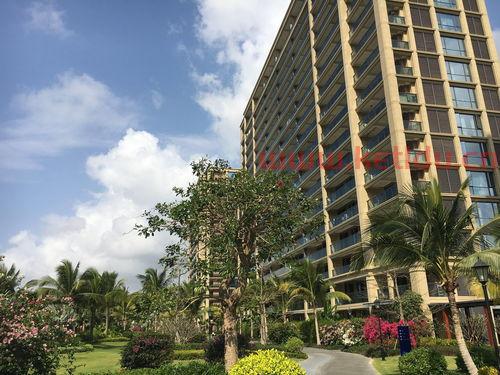 海南绿城蓝湾小镇酒店预订价格〖三亚清水湾云海轩酒店的详细地址在哪里〗