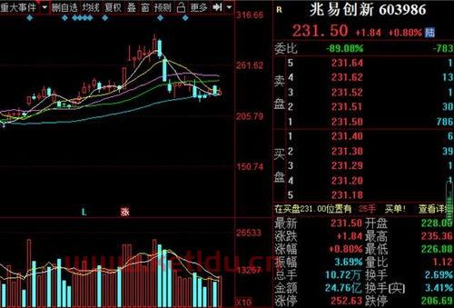 芯片科技股龙头股票一览〖芯片的股票有哪些龙头〗