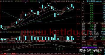 关于科技股的龙头股票,科技股票有哪些龙头股?