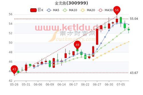金龙鱼股票历史净值〖高盛集团的介绍有〗