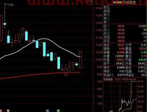 需求价格弧弹性的分类为〖弧弹性需求的价格弹性〗