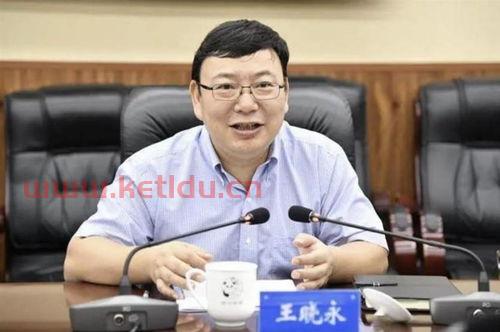 民生银行行长秘书处邢〖为何要学习金融专业,它的发展前景在中国如何〗